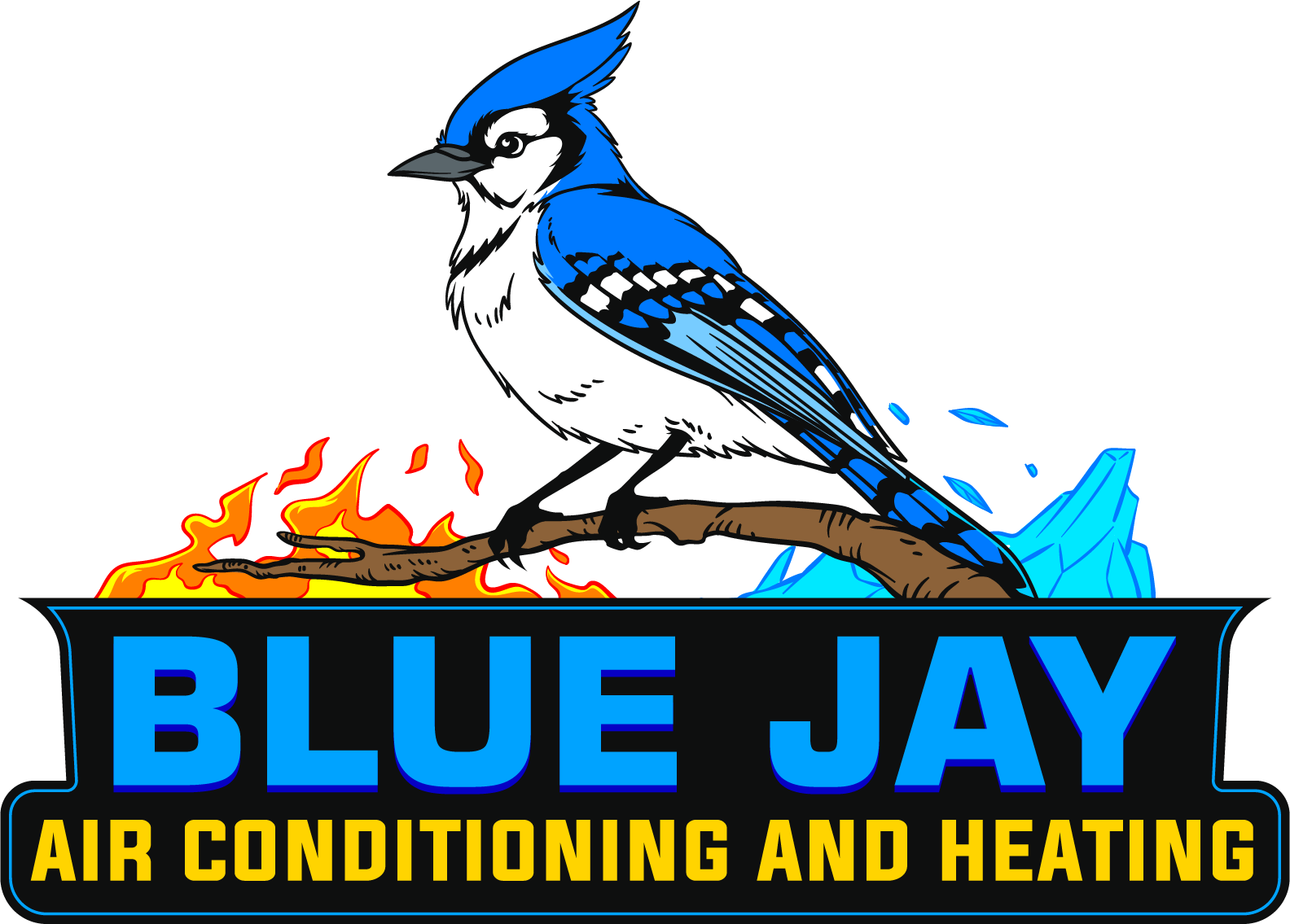 Blue Jay